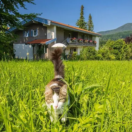 Hoerndlwand Holiday home